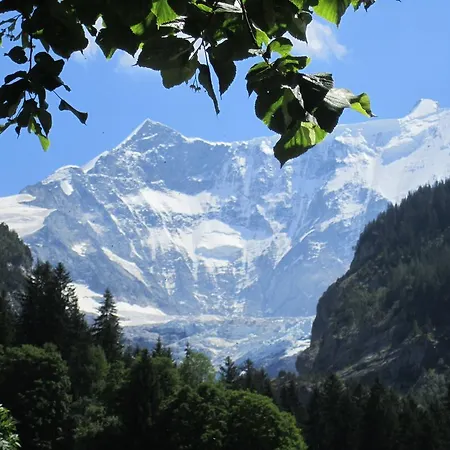 Chalet Wattertanna Grindelwald