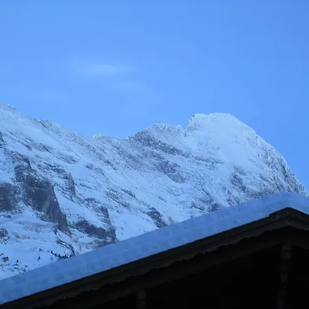 Chalet Wattertanna Daire Grindelwald