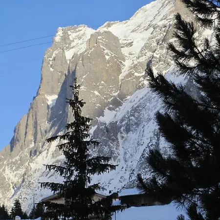 Chalet Wattertanna * Grindelwald