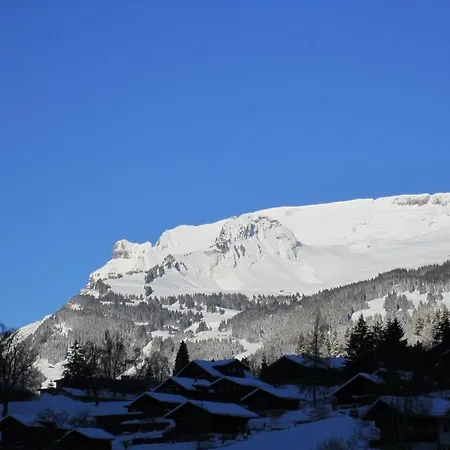 Daire Chalet Wattertanna *
