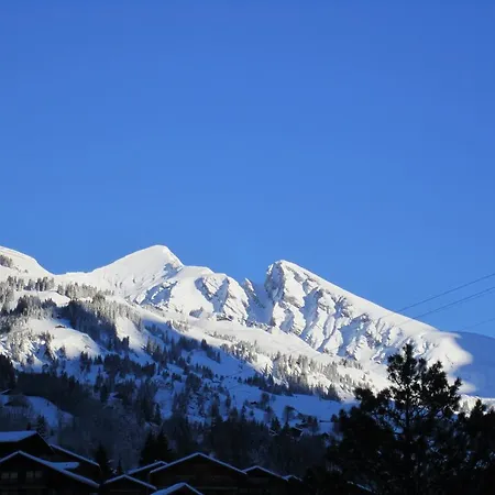 Chalet Wattertanna *